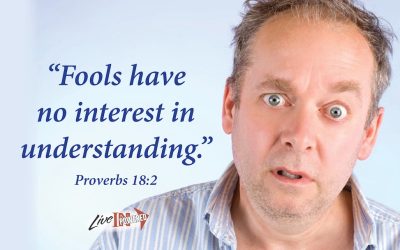 Fools explained