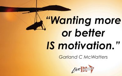 Wanting more or better IS motivation