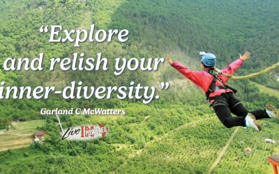 Explore and relish your inner-diversity
