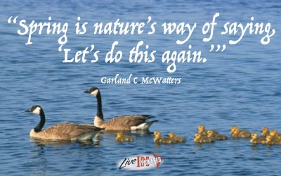 Spring says “let’s do this again.”