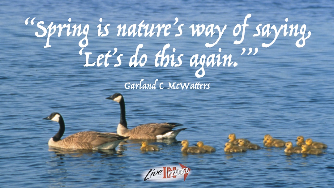 Spring says “let’s do this again.”